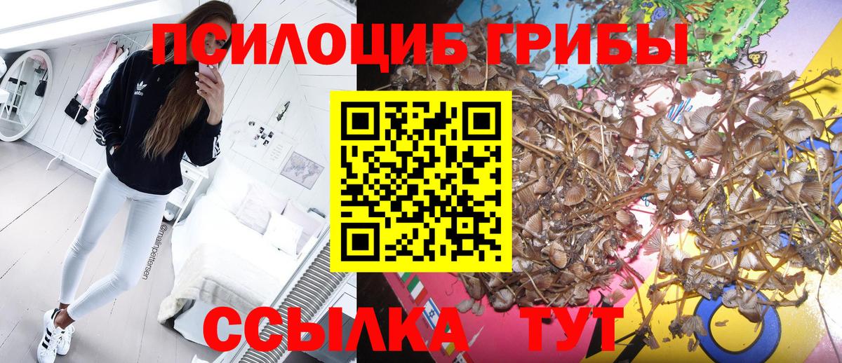 Галлюциногенные грибы Cubensis Новоалтайск
